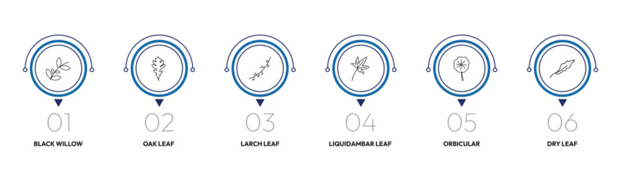 nature outline icon set. black willow, oak leaf, liquidambar leaf, dry leaf and more. linear vector collection. editable stroke