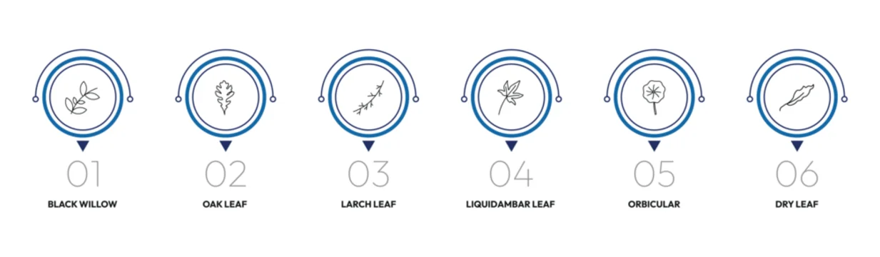 nature outline icon set. black willow, oak leaf, liquidambar leaf, dry leaf and more. linear vector collection. editable stroke