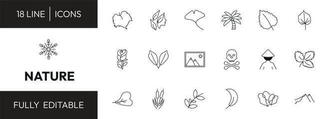 nature outline icon set. grape leaf, hair style, birch leaf, big snowflake and more. linear vector collection. editable stroke © Design_Farm