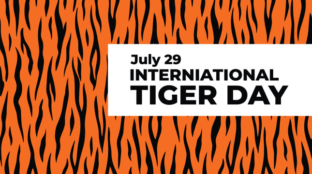 Bright orange and black tiger fur pattern graphic design features bold typography for international tiger day celebration with sleek modern lines and high contrast colors for a striking visual impact.