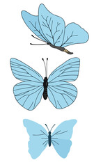 butterfly on white background © Pawan
