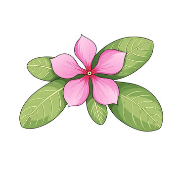 multi flower with multi colors, rose, sunflower, lilly