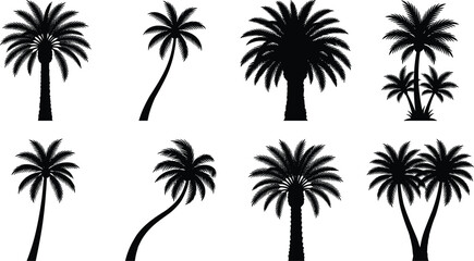 Obraz premium Palm Tree Silhouette Collection Featuring Tropical Coconut Palm Vector Set for Landscape and Summer Design