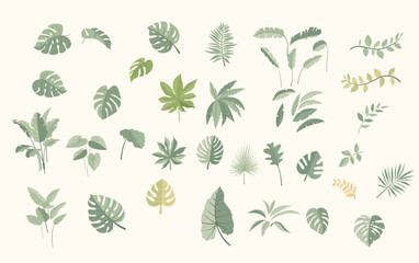 Tropical Botanical Leaf Collection Flat Hand Drawn Vector Elements © kengmerry