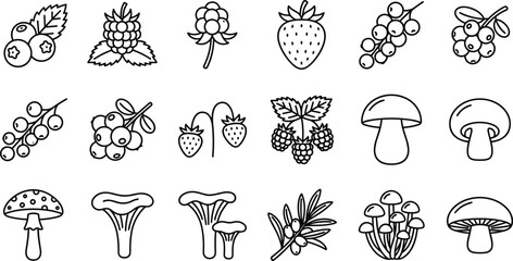 Wild berry and forest mushroom line icon set for organic food market packaging and nature vector designs © Lipon