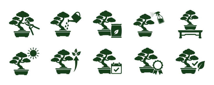 Bonsai tree care and gardening vector icons set displaying various maintenance procedures.