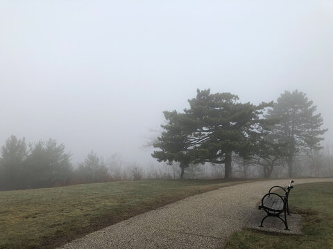Park bench in dense fog