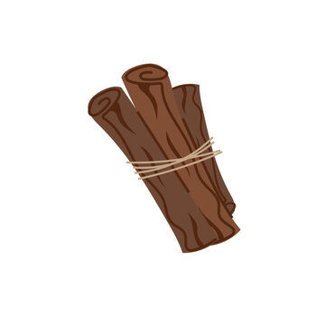A bundle of brown cinnamon sticks tied together with a simple rope string. Aromatic spice element for cooking, baking, or cozy autumn design. Vector illustration isolated on white. 