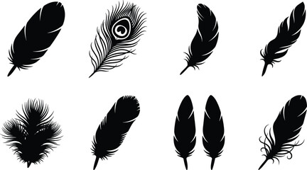 Set of black bird feather silhouettes including a peacock plume isolated on white background for graphic design elements © Moskirul