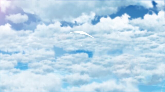 流れる雲と鳥