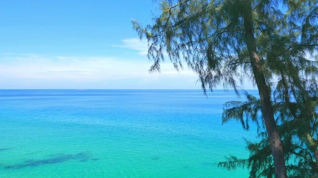 Tropical beach paradise with palm trees overlooking turquoise ocean, sandy shore, blue sky, summer vacation travel landscape seascape island nature