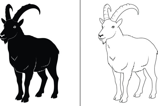 Goats Outline and Silhouette Set with Horned Caprids Standing on a Minimal White Background
