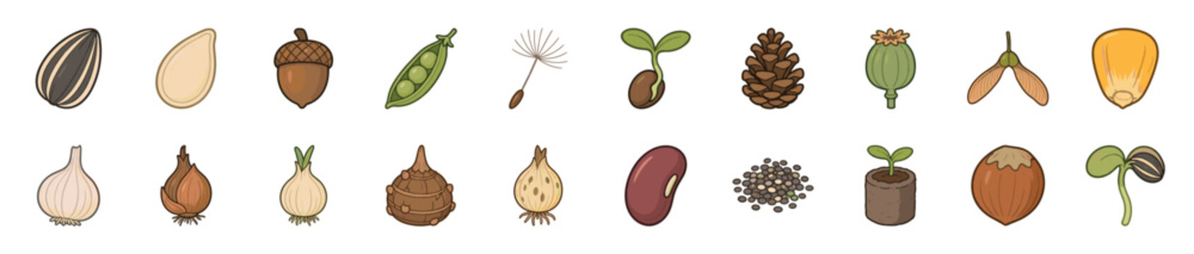 Diverse collection of illustrated seeds and bulbs including nuts, grains, and sprouts for gardening and agriculture concepts, presented in a clean, simple cartoon style