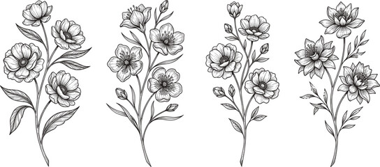Fototapeta premium Set of detailed hand drawn floral sketches featuring beautiful blooming flower branches isolated on white background image_9ea96f.jpg