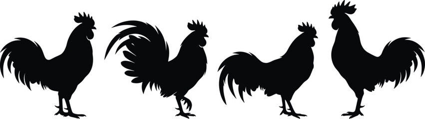 Rooster silhouettes vector icons set featuring black cockerel shapes and male chicken standing isolated on white background © MDSHAFIQUL