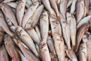 Obraz premium fresh fish on the market
