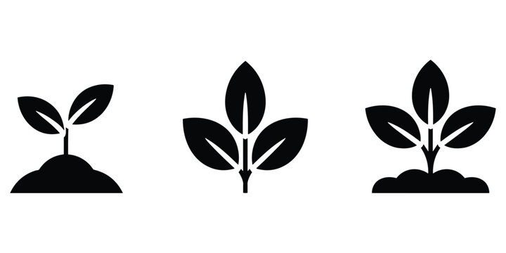 Seedling growth stages shown in silhouette from tiny sprout to young plant emerging from soil