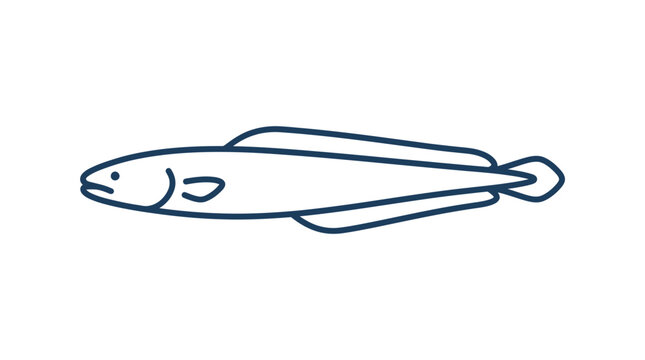 Simple outline illustration of a moray eel on a white background