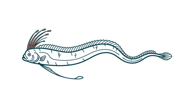 Elegant Oarfish Illustration: Deep Sea Creature with Crown-like Crest