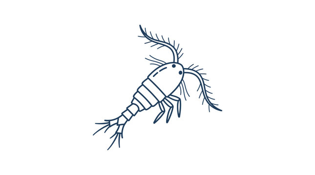 Hand-drawn illustration of a copepod, a small crustacean, isolated on white background