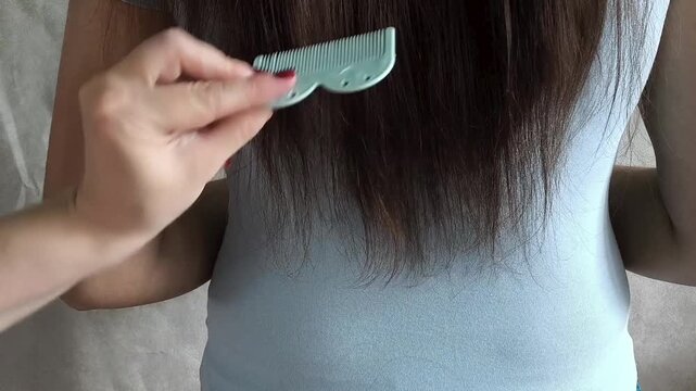 Hairdresser combing long hair before trimming split ends, professional hair care, beauty salon and healthy hair concept.