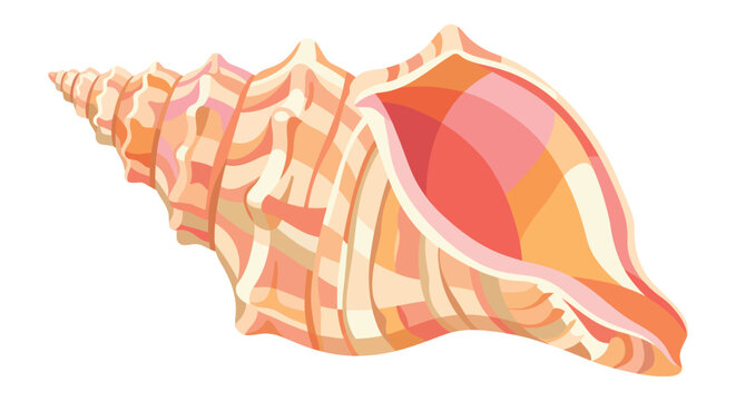 Colorful seashell illustration with striped pattern and a spiral shape set on a transparent background shell marine conch gastropod mollusk ocean life beachcombing coastal nautilus