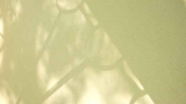 Window and soft sunrise sunlight, shadows on background with casting floral shadows. Light pink. Minimal vintage interior decoration concept. Autumn wabi sabi style aesthetics