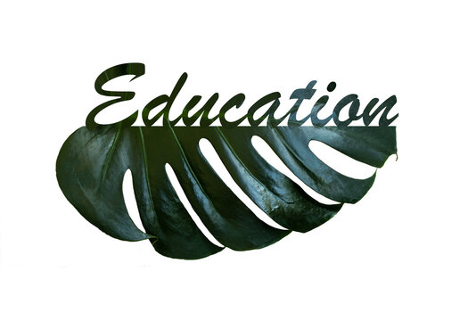 Symbole de l'&eacute;cologie par l'&eacute;ducation 