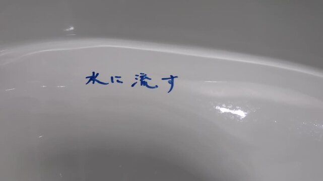 Washing Away the Past: Visualizing the Japanese Idiom "Mizu ni Nagasu" in a Flushing Toilet / 「水に流す」日本の慣用句を物理的にトイレで洗い流すユーモア映像