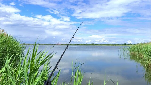 Fishing rod positioned at the water's edge surrounded by tall green reeds and a calm lake reflecting a blue sky with scattered clouds in a serene natural setting