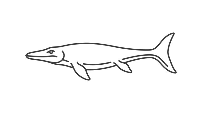 Line Art Illustration of a Mosasaurus Dinosaur Swimming