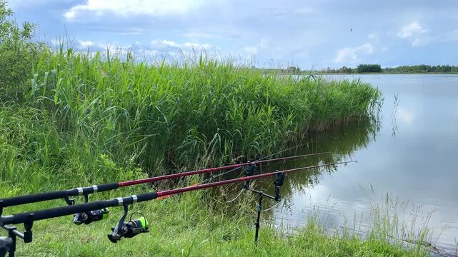 Fishing rods positioned along a serene lake shore surrounded by lush green reeds and distant industrial structures under a cloudy sky in a tranquil outdoor setting