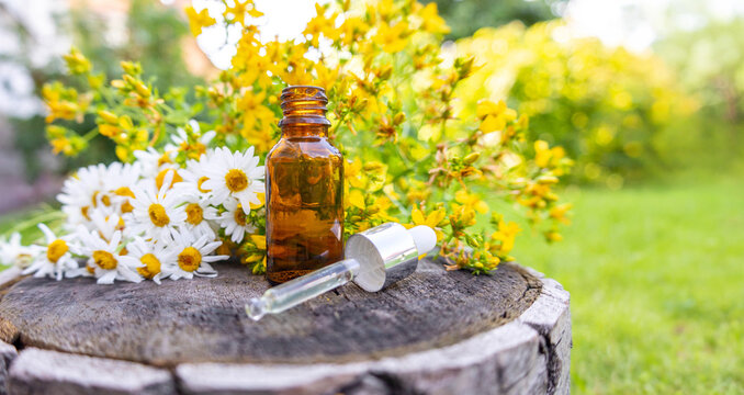 Herbal essential oil bottles with chamomile and St. John's wort flowers on stump