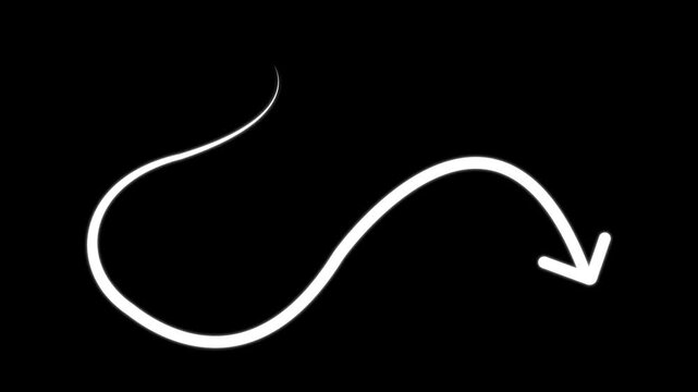 Animation arrows line pointer highlight, sign arrow line With alpha channel.