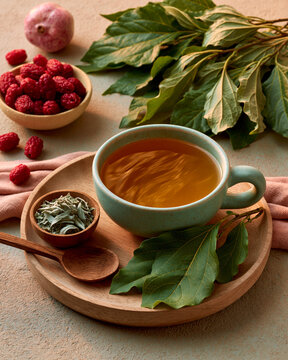 Carqueja and boldo flat lay with herbal teas and fruit showcasing Brazilian medicinal herb wellness healthy aging and home vitality