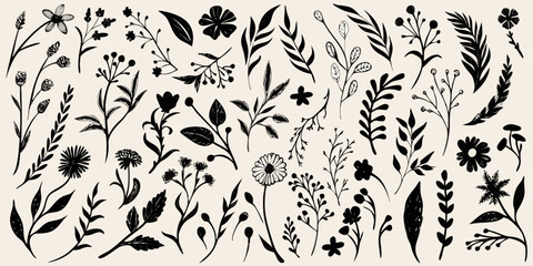 botanical collection hand drawn black ink on beige background flowers leaves plants stems flora nature illustration vector artwork design pattern ornament © Shamal