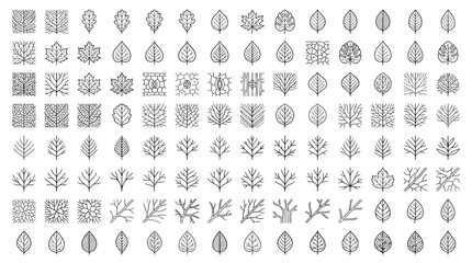 Fototapeta premium Collection of Hand-Drawn Leaf and Branch Icons, Vector Botanical Illustrations