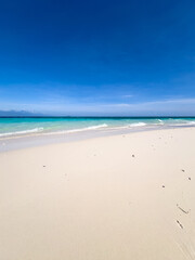 Fototapeta premium Tropical Beach With White Sand and Blue Ocean