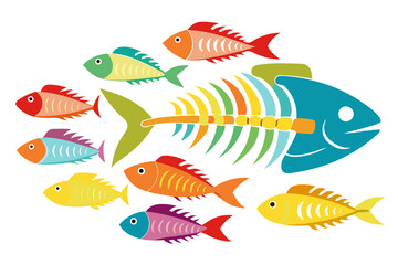 Fototapeta premium Colorful school of fish swimming around a large skeleton fish in a vector graphic design