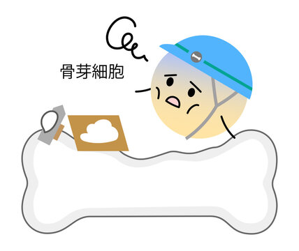加齢により働きが低下している骨芽細胞のイラスト