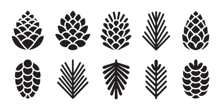 Set of pine cones and leaves silhouettes, various shapes, isolated on transparent background.