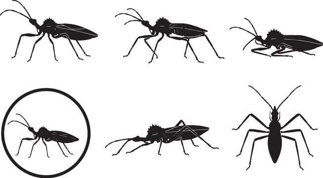 Assassin Bug Black Silhouette Icon Set