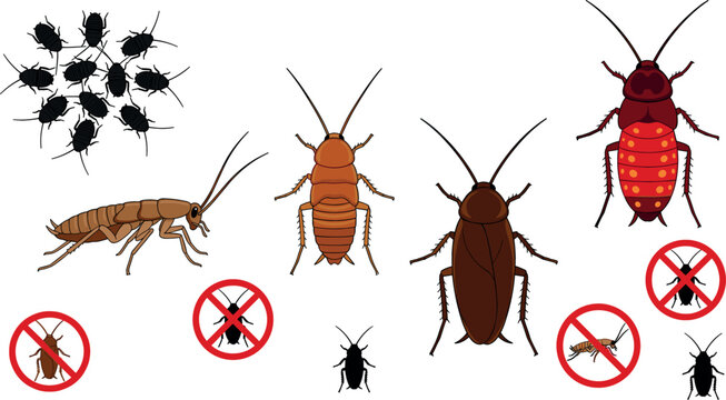Cockroach Vector Set Pest Insect Illustration with Prohibition Sign for Pest Control and Extermination Design Flat Collection