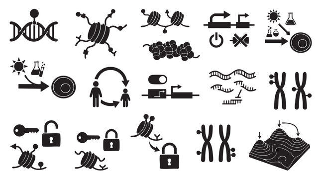 Epigenetics and genetics concept icons showing DNA strands and chromosome regulation in black silhouette.