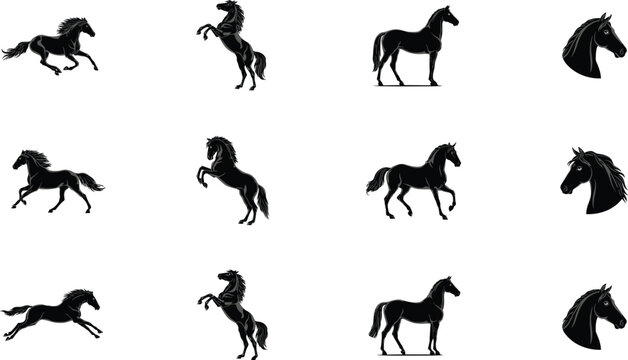 Black horse silhouettes icons set including running, rearing, standing poses and stallion head profiles for equestrian sports, ranch branding, ranching, and wild mustang vector illustration