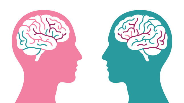 Two human profiles facing each other with stylized colorful brains isolated on a white background