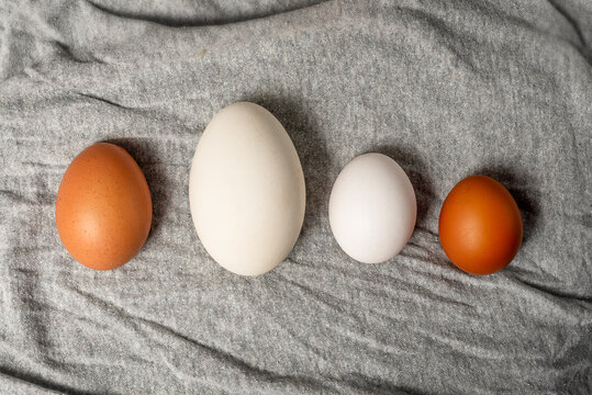 The close-up of mixed duck's eggs and white and brown chicken eggs on a grey cloth background