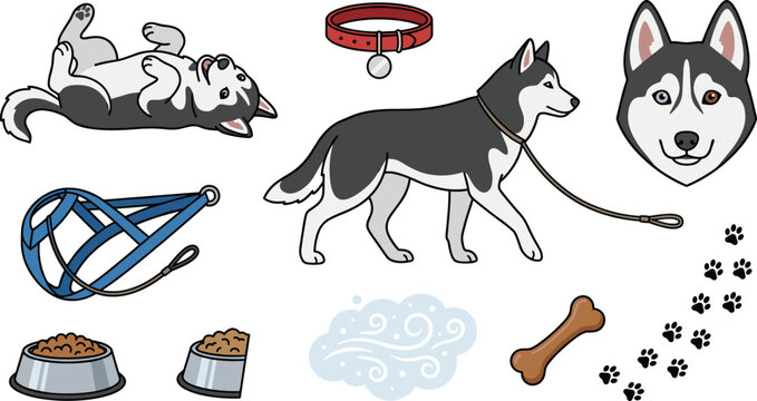 Cute cartoon husky dog vector icon set featuring rolling puppy red collar walking adult blue harness food bowl bone and paw prints.