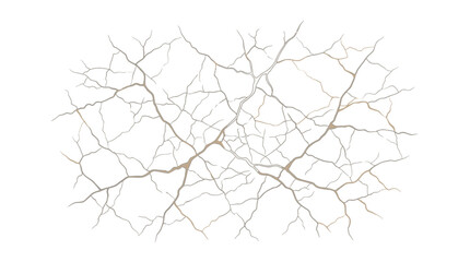 Obraz premium Intricate abstract pattern of delicate branching lines featuring soft neutral earth tones and organic shapes