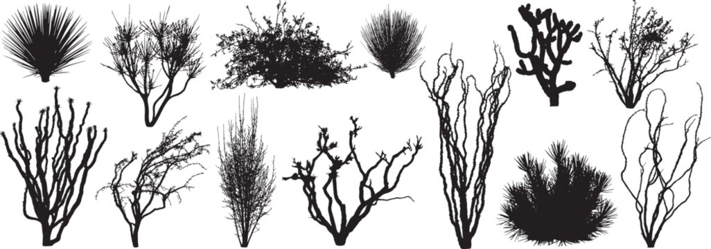 Black desert plant silhouette vector set,  includes diverse foliage types, such as spiky yuccas, spindly ocotillo branches, and tangled shrubs.